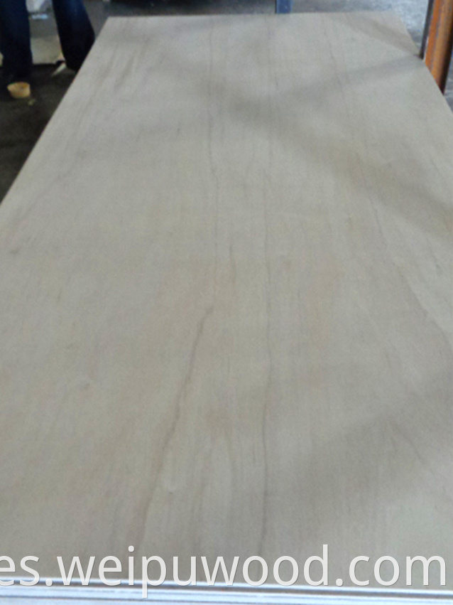 Red Olive Plywood